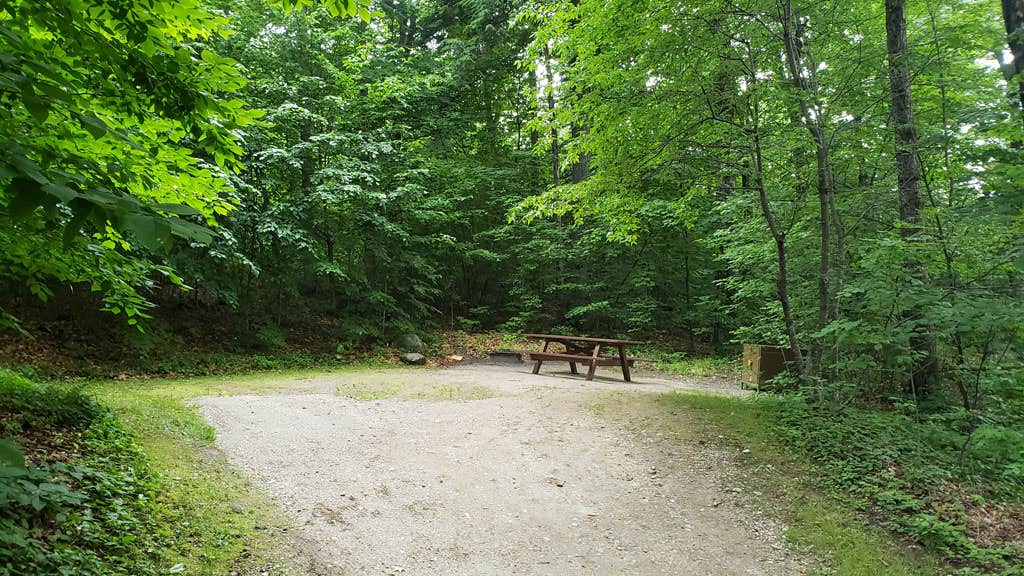 Camper-submitted photo at Savoy Mountain State Forest Campground near Plainfield, MA