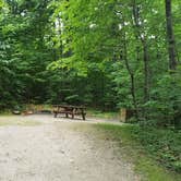 Review photo of Savoy Mountain State Forest by Jean C., July 24, 2020