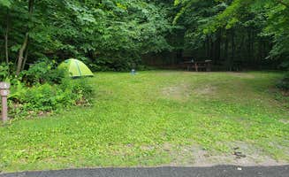 Jean C.'s photo at Savoy Mountain State Forest Campground near Cheshire, MA