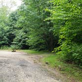 Review photo of Savoy Mountain State Forest by Jean C., July 24, 2020