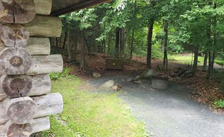 Jean C.'s photo of glamping accommodations at Savoy Mountain State Forest Campground near North Bennington, VT