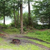 Review photo of Savoy Mountain State Forest by Jean C., July 24, 2020