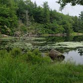 Review photo of Savoy Mountain State Forest by Jean C., July 24, 2020