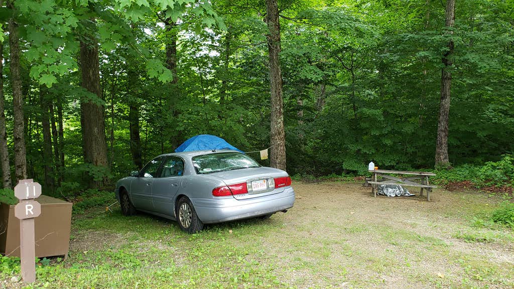 Jean C.'s photo at Savoy Mountain State Forest Campground near New Ashford, MA