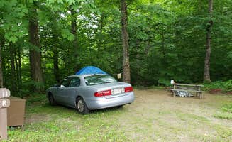 Jean C.'s photo at Savoy Mountain State Forest Campground near Rowe, MA