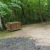 Review photo of Savoy Mountain State Forest by Jean C., July 24, 2020