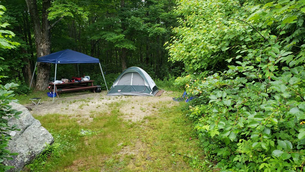 Jean C.'s photo at Savoy Mountain State Forest Campground near Shelburne Falls, MA