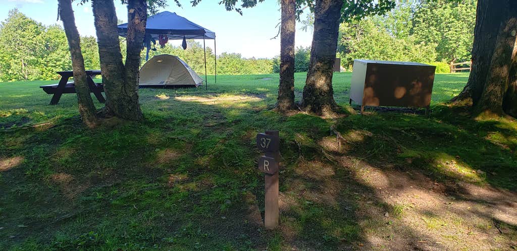 Jean C.'s photo at Savoy Mountain State Forest Campground near Shelburne Falls, MA