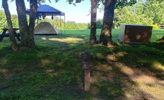 Jean C.'s photo at Savoy Mountain State Forest Campground near West Chesterfield, MA