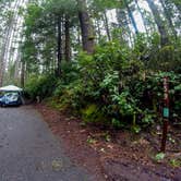 Review photo of Jessie M. Honeyman Memorial State Park Campground by Tj B., March 20, 2018