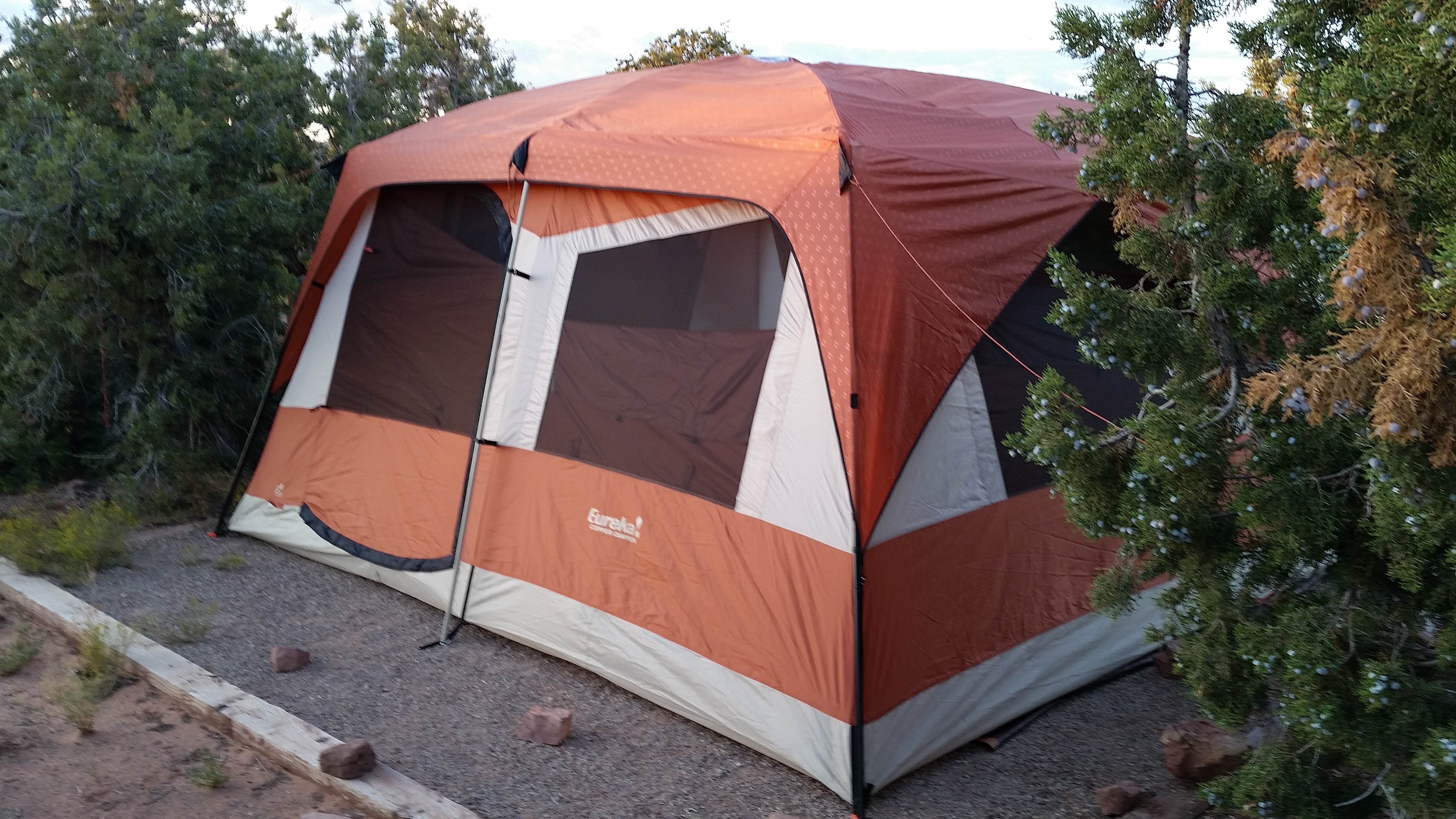 Jeanene A.'s photo of camping with pets at Horsethief Campground near Canyonlands National Park