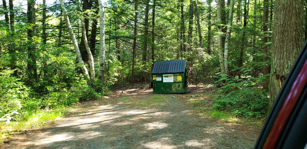 Jean C.'s photo of glamping accommodations at Erving State Forest Campground near Vernon, VT