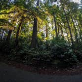 Review photo of Jessie M. Honeyman Memorial State Park Campground by Tj B., March 20, 2018