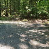 Review photo of Erving State Forest by Jean C., July 24, 2020