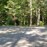 Review photo of Erving State Forest by Jean C., July 24, 2020