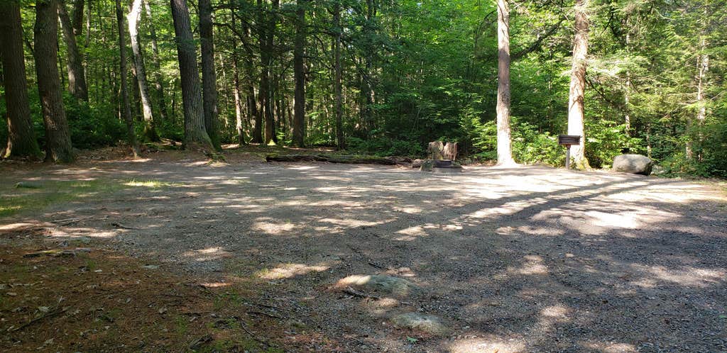 Camper-submitted photo at Erving State Forest Campground near Petersham, MA