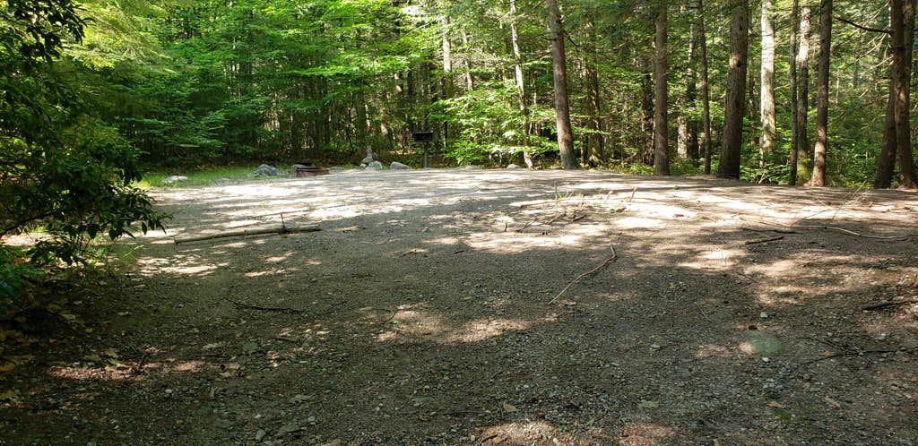 Camper-submitted photo at Erving State Forest Campground near Petersham, MA