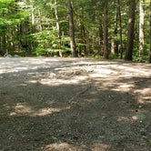 Review photo of Erving State Forest by Jean C., July 24, 2020