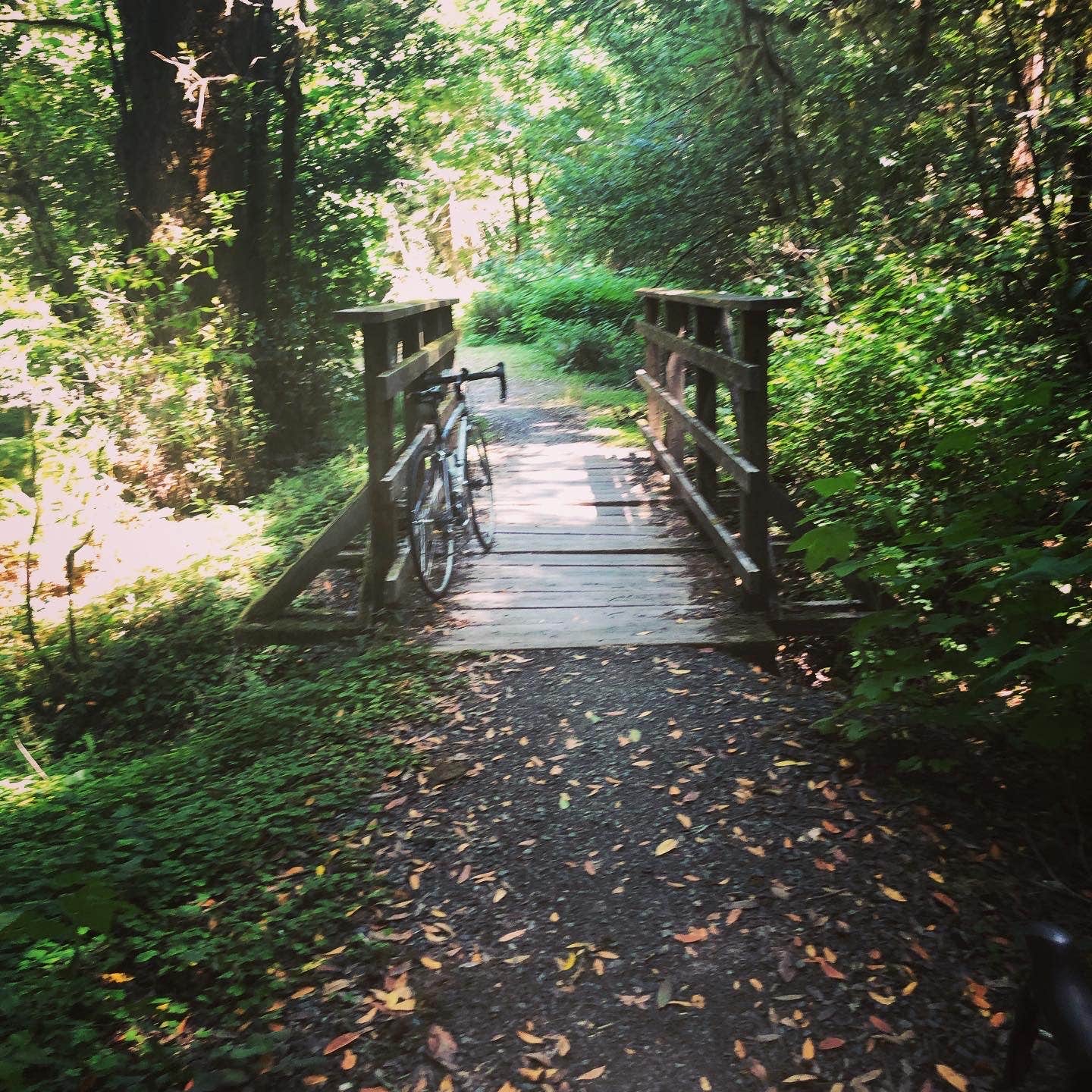 Great site for cycling along the Elk River