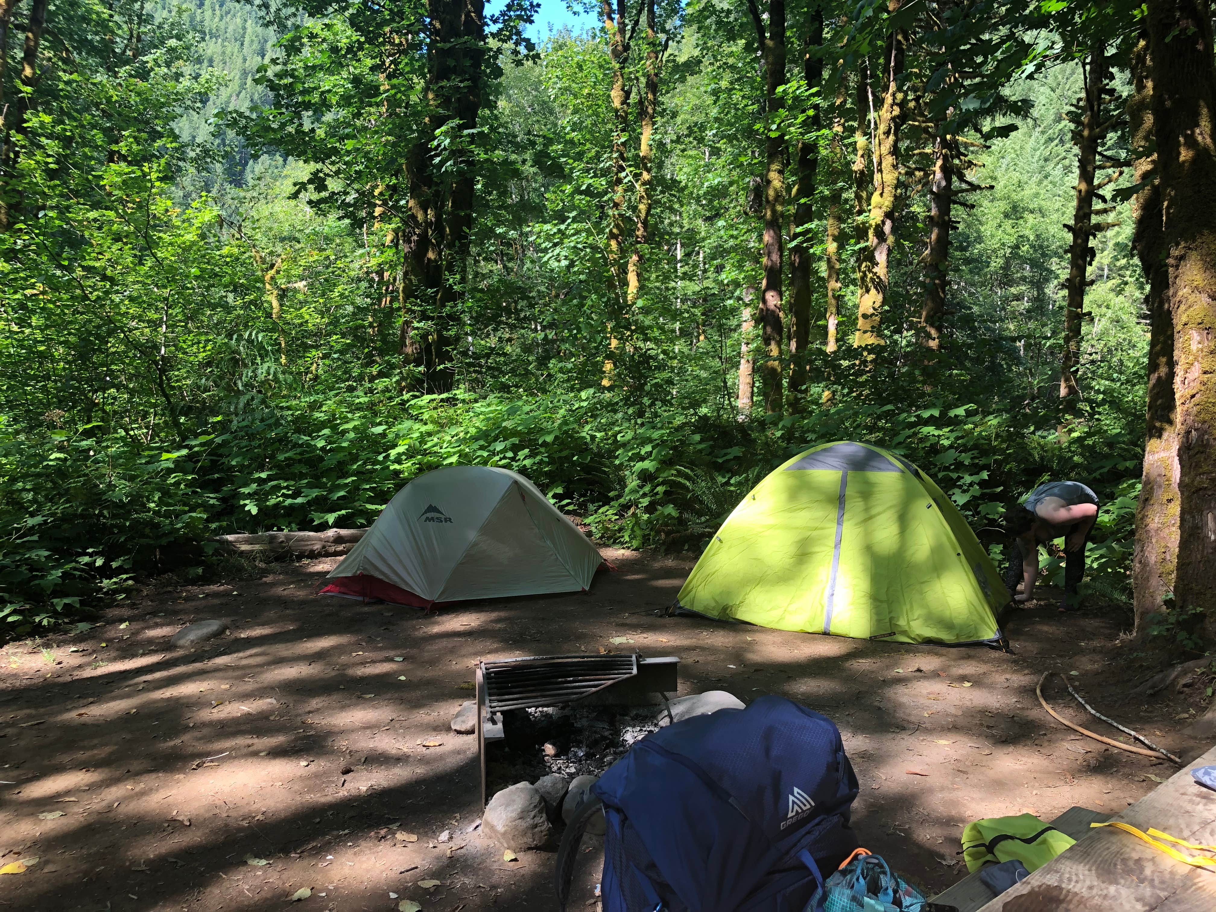 Jennifer A.'s photo of tent camping at Elk Creek Campground near Malheur National Forest