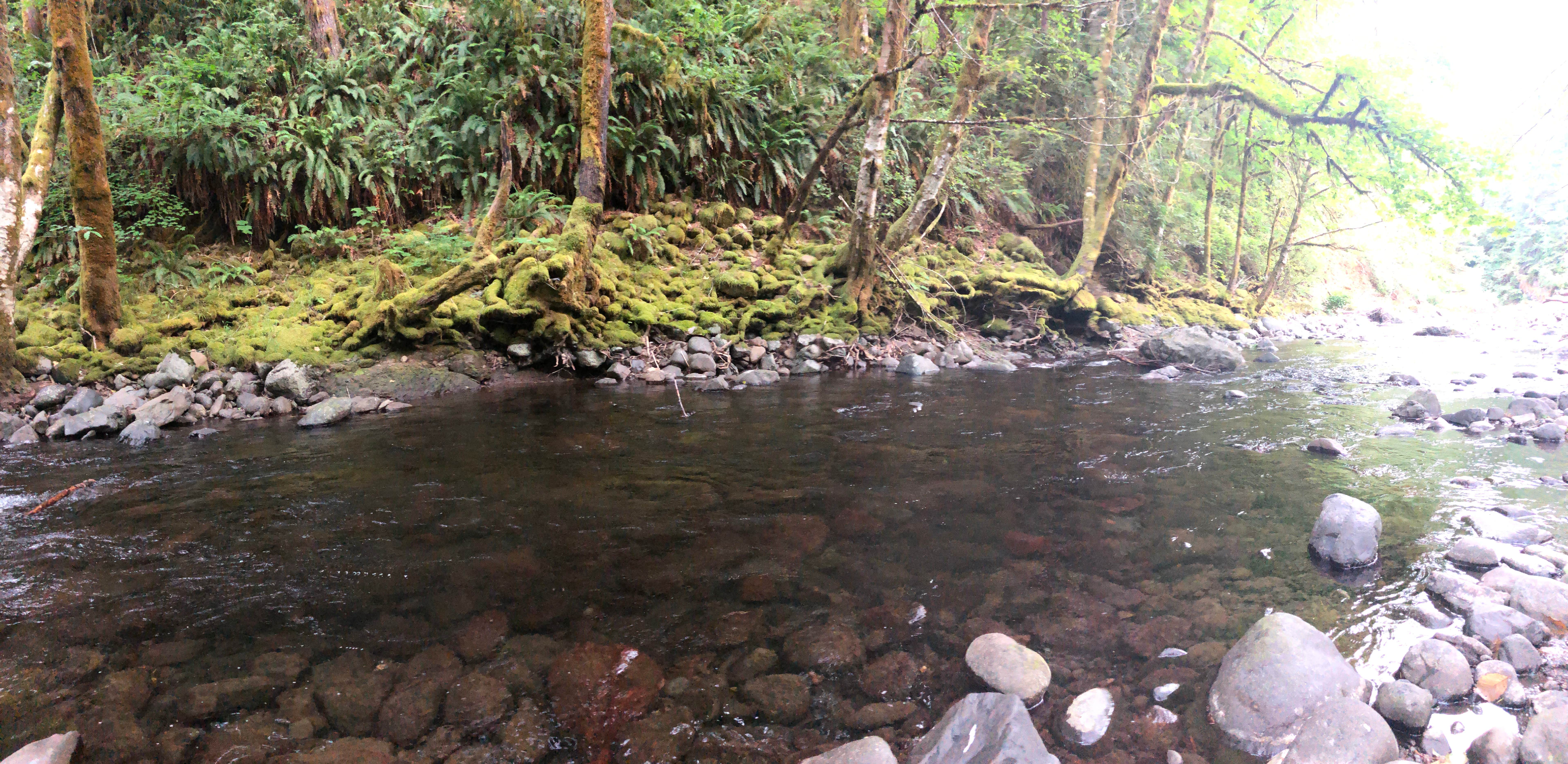 Camper submitted image from Elk Creek Campground - 3