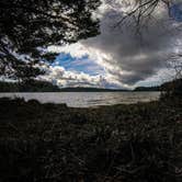 Review photo of Jessie M. Honeyman Memorial State Park Campground by Tj B., March 20, 2018