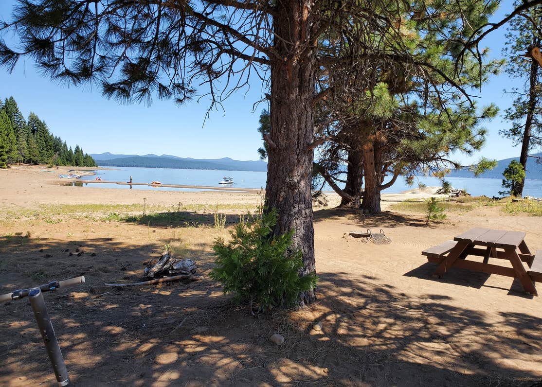 Rocky Point Campground Lake Almanor Camping The Dyrt