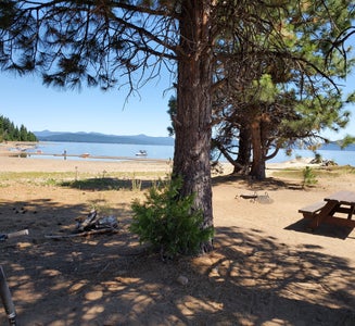 Camper-submitted photo from Rocky Point Campground - Lake Almanor
