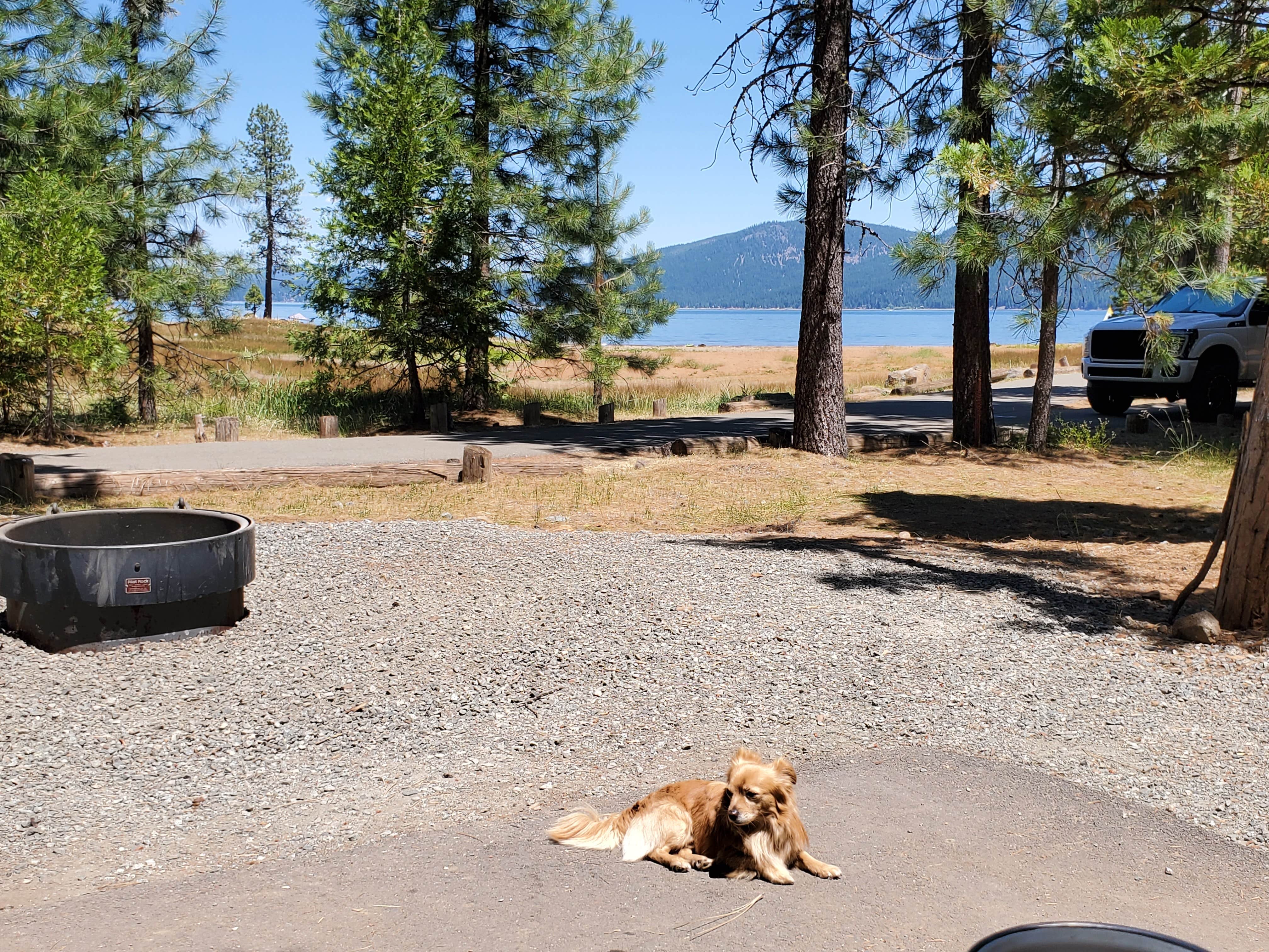 Lukasz W.'s photo of camping with pets at Rocky Point Campground - Lake Almanor near Greenville, CA
