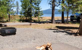 Lukasz W.'s photo of camping with pets at Rocky Point Campground - Lake Almanor near Mill Creek, CA