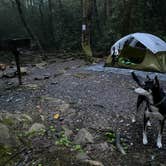 Review photo of Montreat Family Campground by Kat J., July 24, 2020