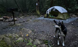 Kat J.'s photo at Montreat Family Campground near Swannanoa, NC