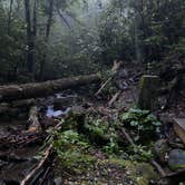 Review photo of Montreat Family Campground by Kat J., July 24, 2020