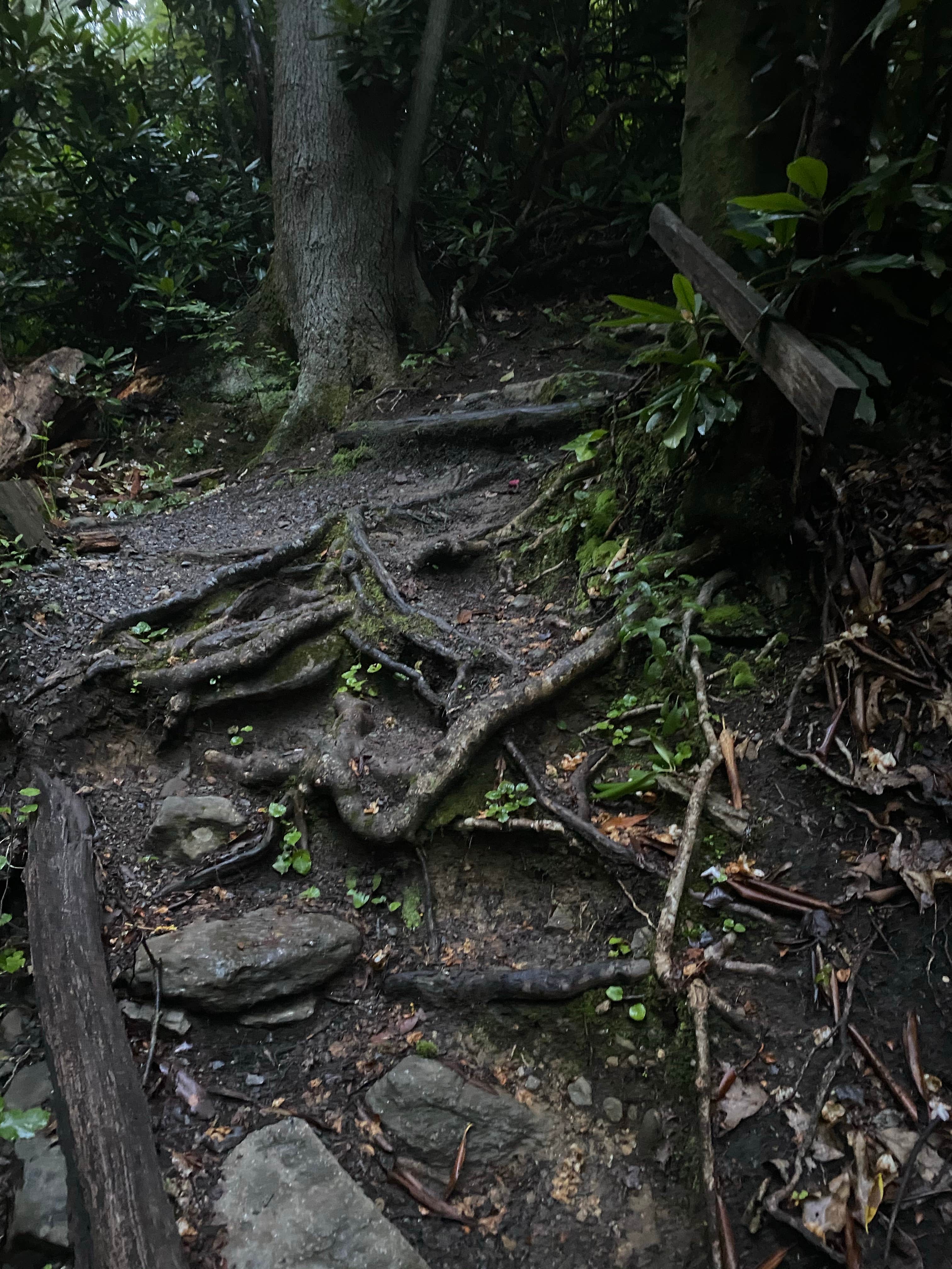 Camper-submitted photo at Montreat Family Campground near Gerton, NC