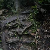 Review photo of Montreat Family Campground by Kat J., July 24, 2020