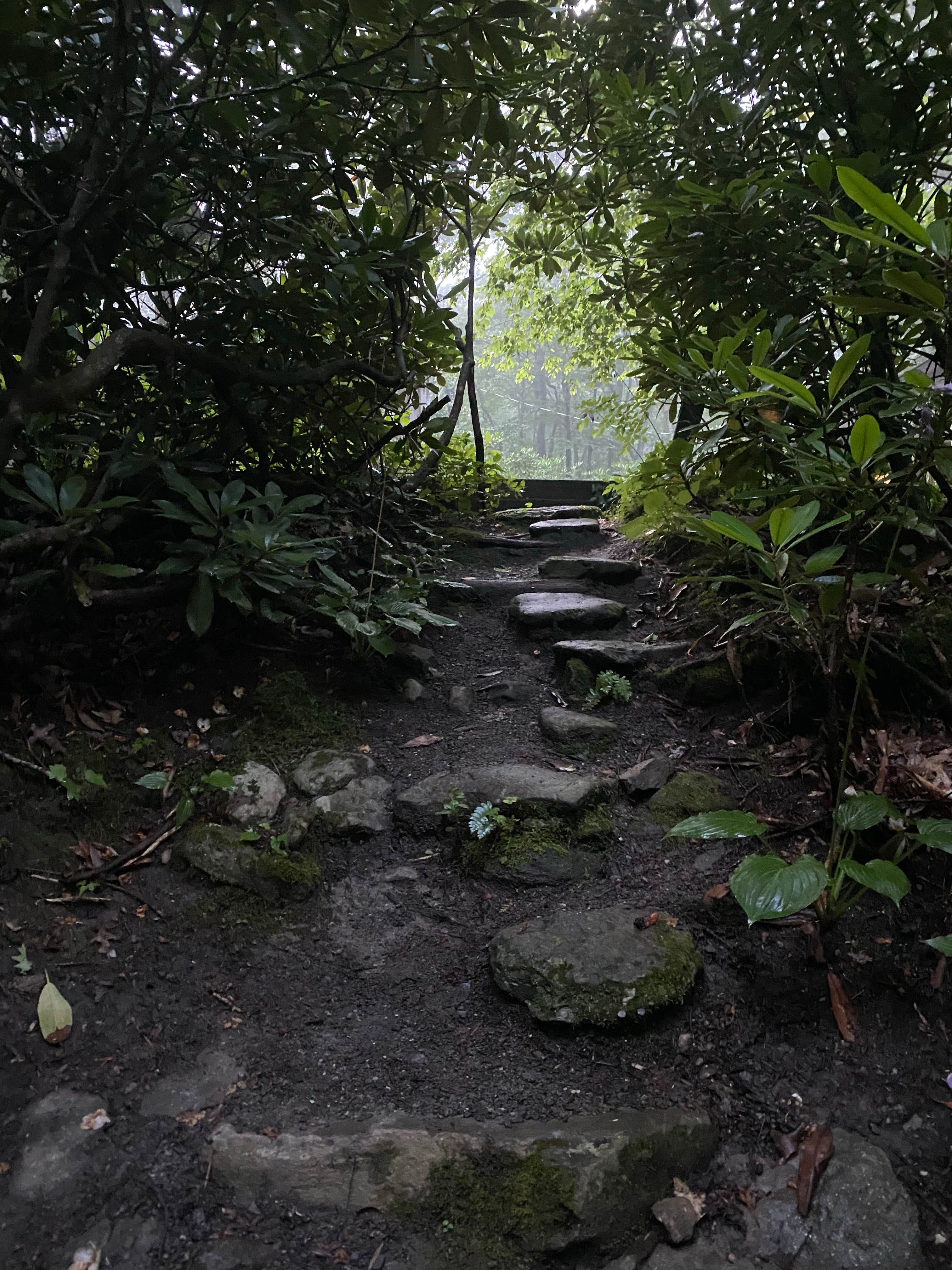 Camper-submitted photo at Montreat Family Campground near Gerton, NC