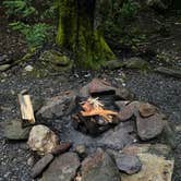 Review photo of Montreat Family Campground by Kat J., July 24, 2020