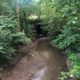 Review photo of Harpers Ferry Campground - River Riders by Kristen M., July 24, 2020