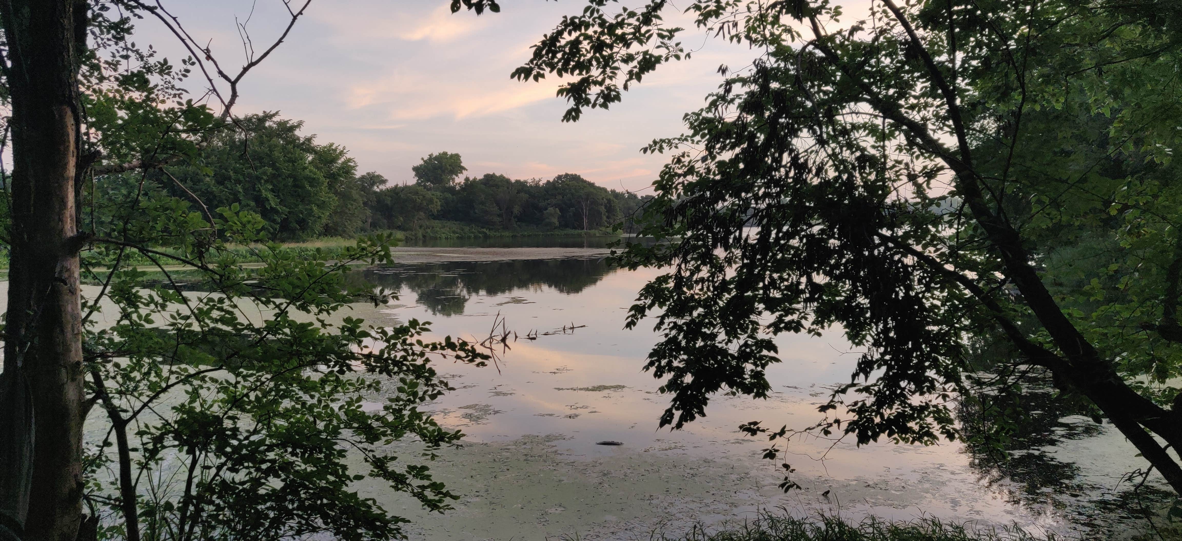 Camper submitted image from Timber Point Wetland - 5