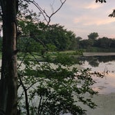Review photo of Timber Point Wetland by Abigail H., July 24, 2020