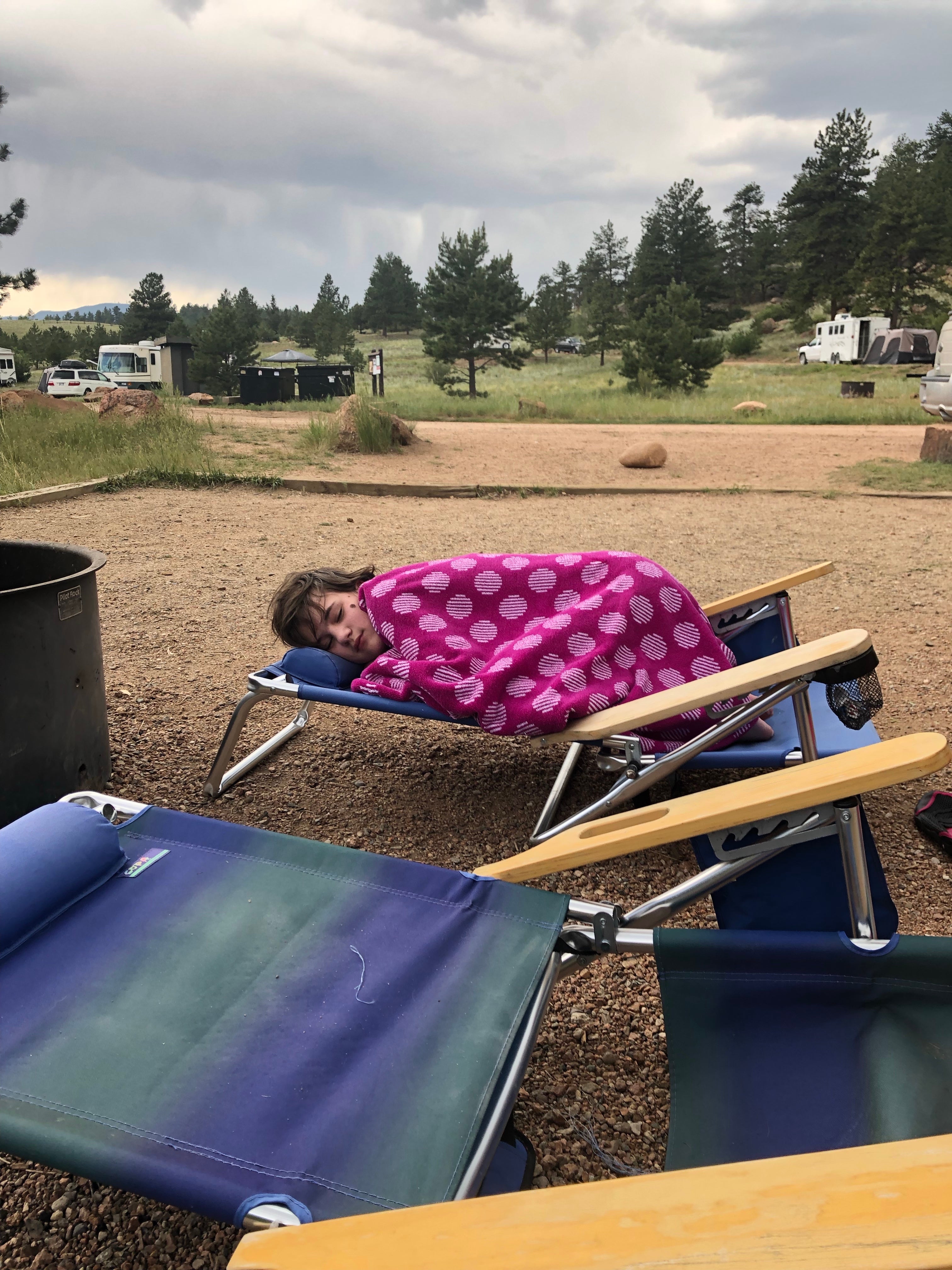 Camper submitted image from Spruce Grove Campground - 1