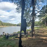 Review photo of Aspen Campground by Christine S., July 24, 2020