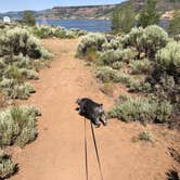 Review photo of Elk Creek Campground by Dawn K., July 24, 2020