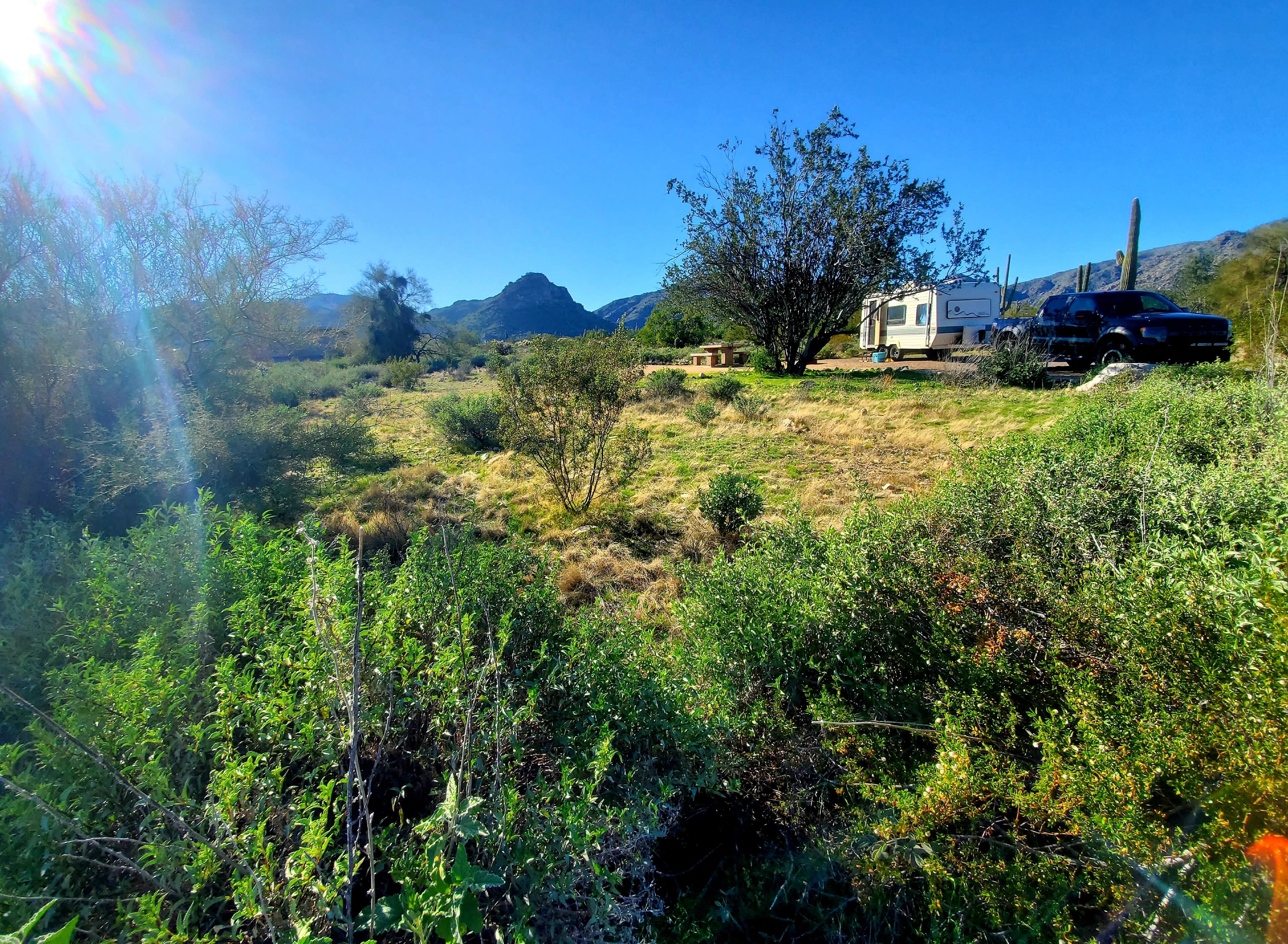 Camper submitted image from White Tank Mountain Regional Park - 2