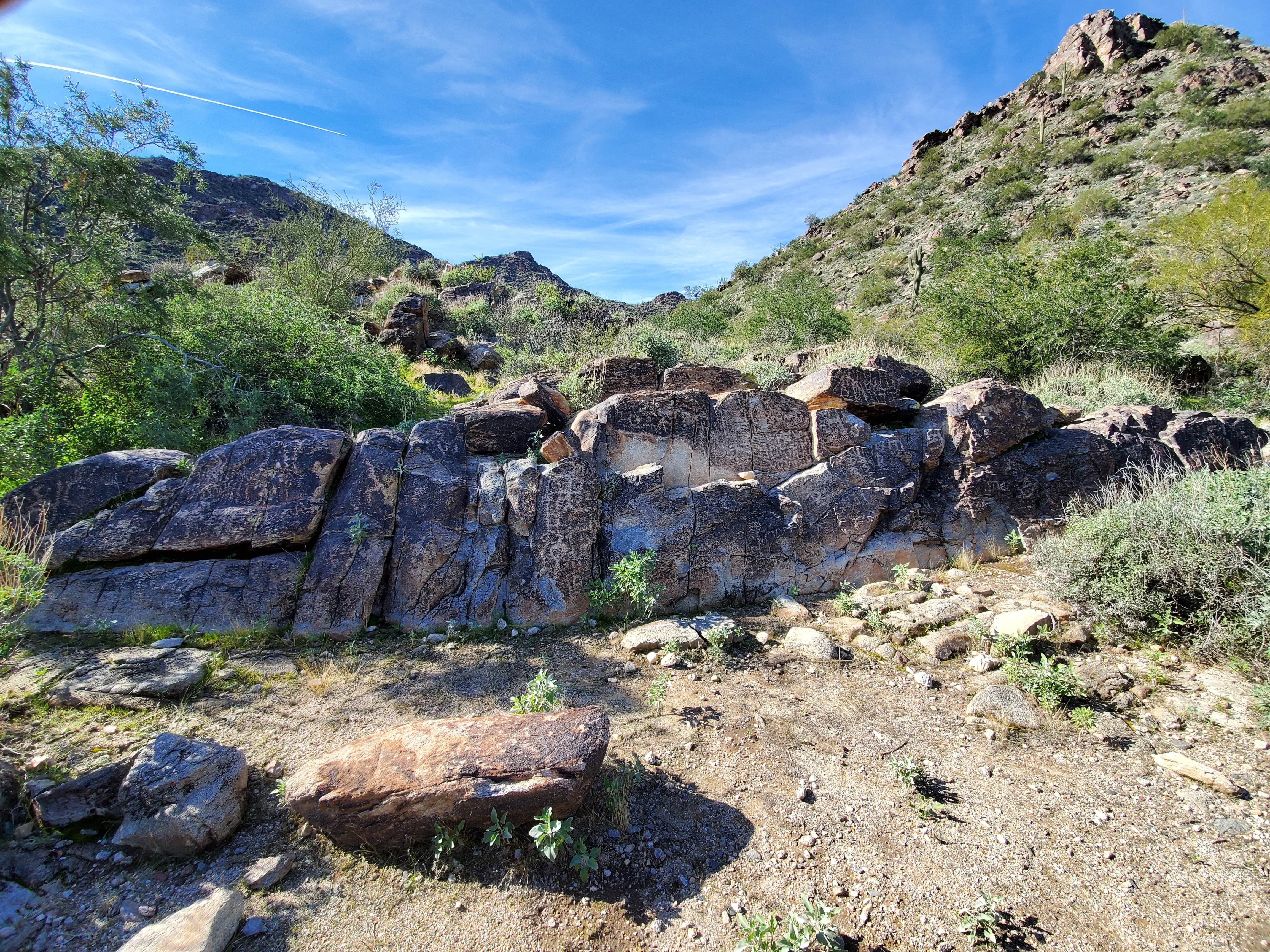 Camper submitted image from White Tank Mountain Regional Park - 4