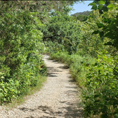 Review photo of Lost Maples State Natural Area by Matt S., July 24, 2020