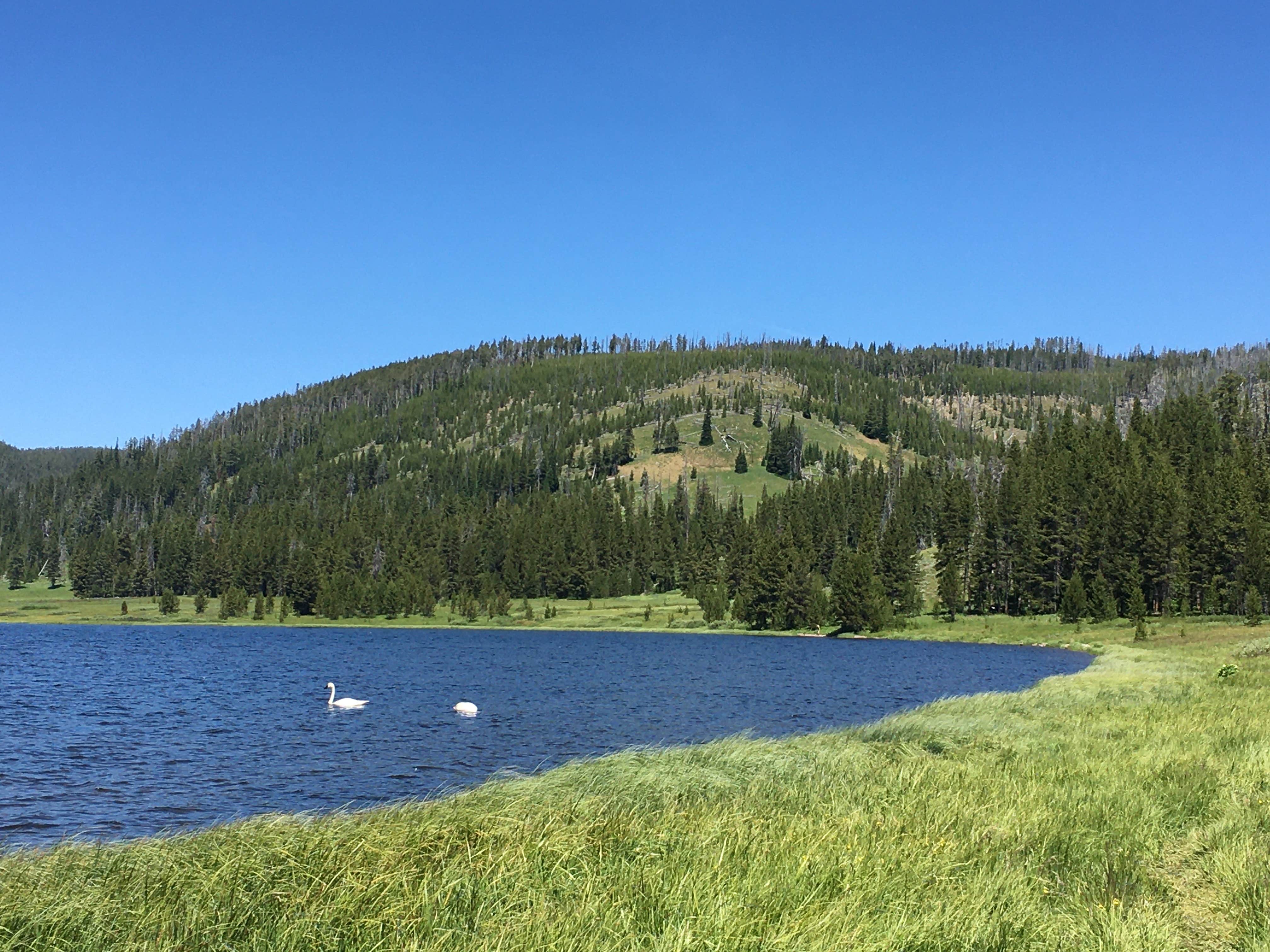 Camper submitted image from 4G2 Yellowstone National Park Backcountry — Yellowstone National Park - 2