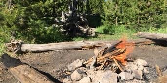 Camper submitted image from 4G2 Yellowstone National Park Backcountry — Yellowstone National Park