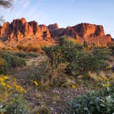 Review photo of Lost Dutchman State Park Campground by Christine S., July 24, 2020
