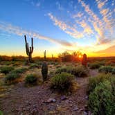 Review photo of Lost Dutchman State Park Campground by Christine S., July 24, 2020